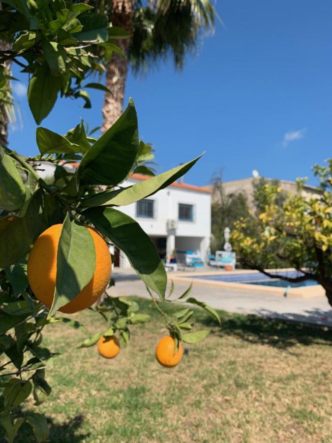 Bed & Breakfast Casa Alestelou Tormos